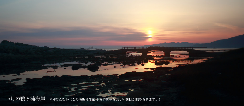 春の鴨ヶ浦海岸